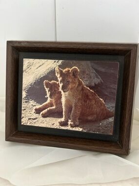 Vintage Lion Cub art Print Framed MCM wild cat photo print 1960s 3D frame Retro